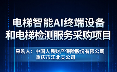 电梯智能AI终端设备和电梯检测服务采购项目